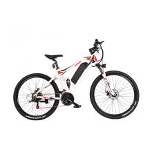 500W Electric Mountain Bike Eu Warehouse Stock